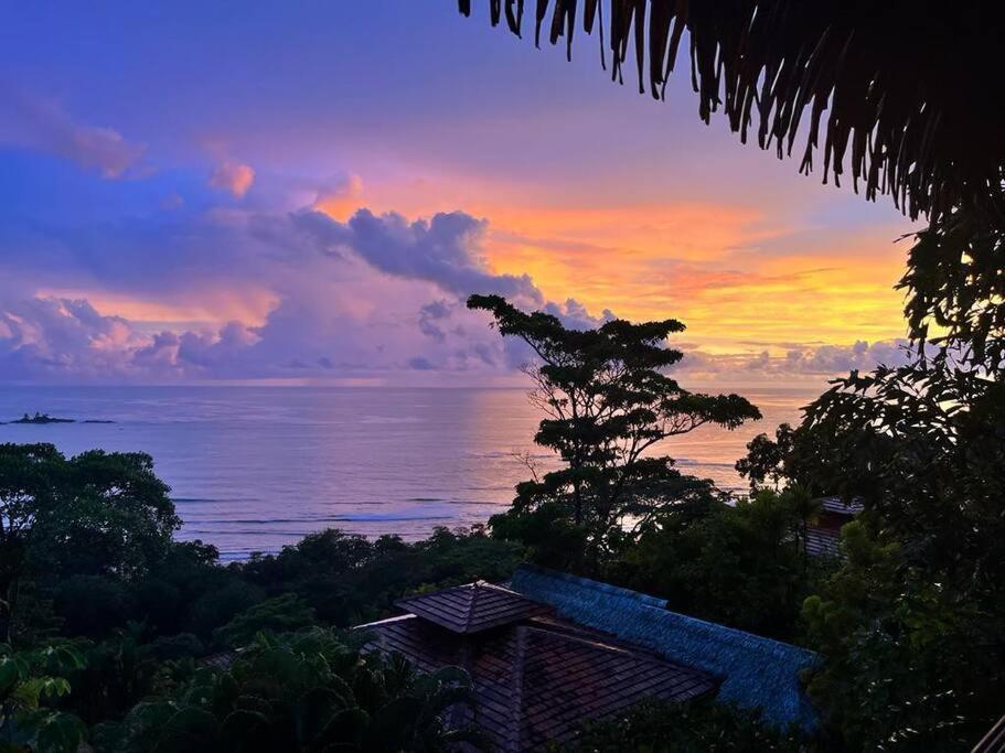 Villa Amor Del Mar With Breathtaking View Of Ocean & Jungle Dominical Dış mekan fotoğraf